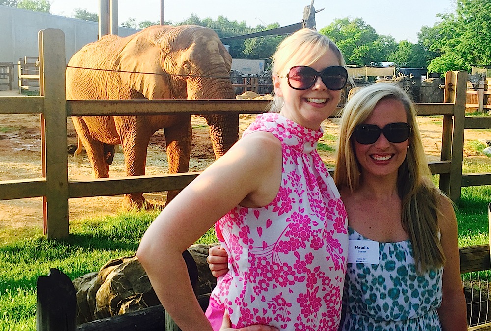 Anne LeZotte, left, of Pilot Flying J, and Natalie Lester of Moxley Carmichael headed over to see the elephants.