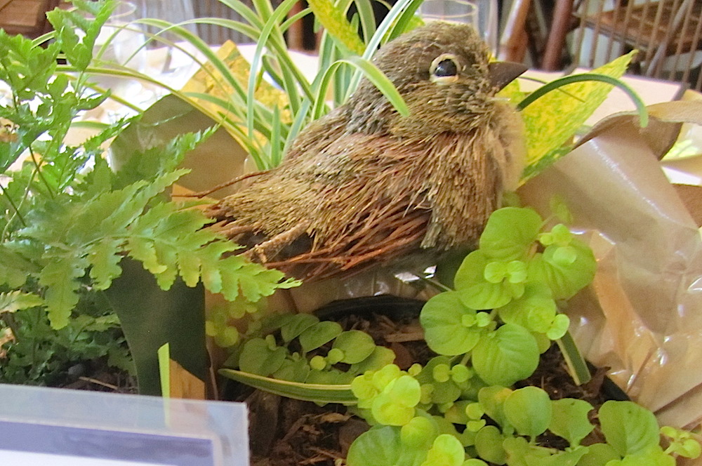 Each centerpiece featured a cute little bird.