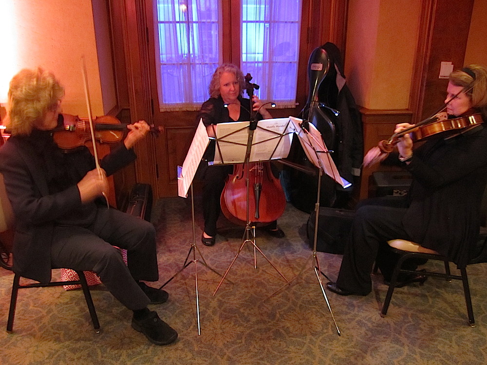 The Dogwood Strings Triio of the Knoxville Symphony Orchestra provided sweet music during the silent auction.
