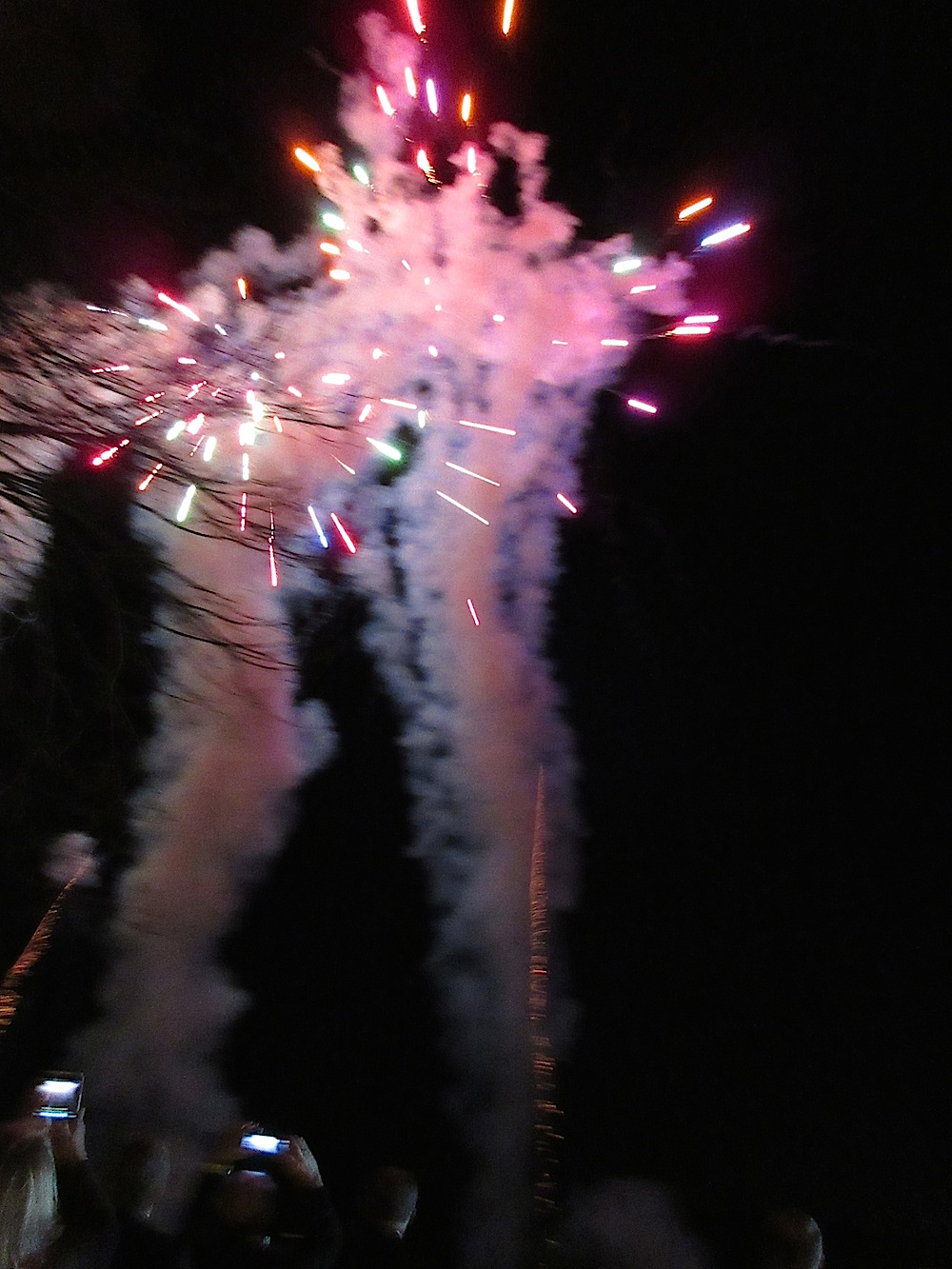And then we were ushered onto the patio overlooking the Tennessee River for fireworks!