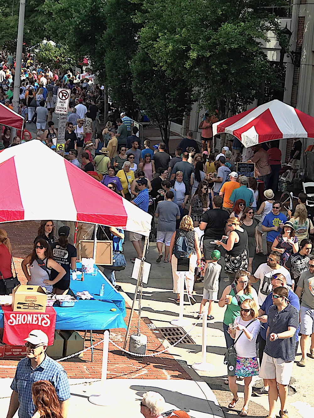 My three tips for unbeatable Biscuitfest experience - Blue Streak